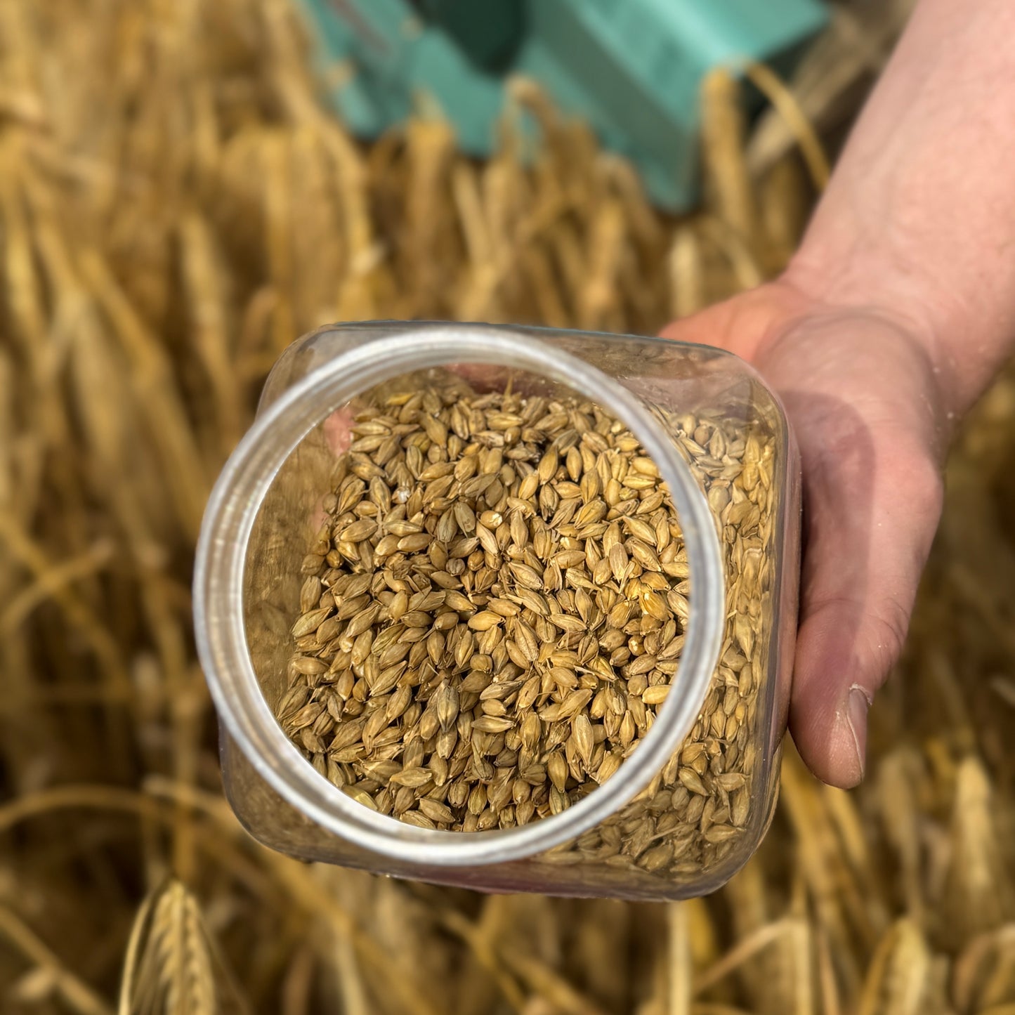 MINIBATT+ Handmähdrescher / Probendrescher (Modell 2025)